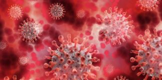 Państwowy Fundusz Rozwoju