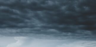 zaległości podatkowe raty