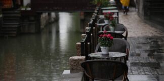 podatek od deszczu 2020