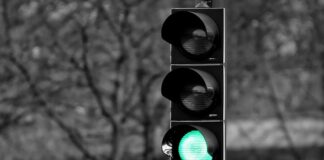 działalność gospodarcza