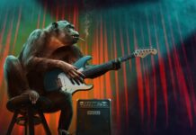 Co to jest drugi etap edukacyjny?