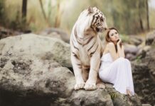 Ile jest form ochrony przyrody w Polsce? Ile jest form ochrony przyrody w Polsce?