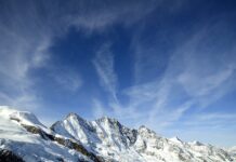 Co to jest fee agencji? Co to jest fee agencji?