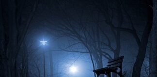 Co można przywieźć z Polski?