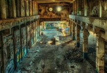 Jakie są filary zrównoważonego rozwoju?