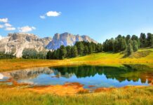 Jak opisać zakres obowiązków? Jak opisać zakres obowiązków?