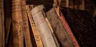 Za co oceniać z edukacji społecznej?