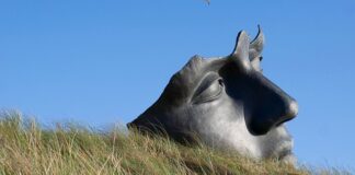 Jak uspokoić układ nerwowy?