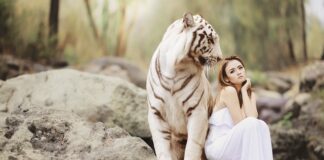 Czy ochrona środowiska jest ważna?