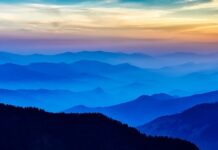 Co dalej ze zdalnym nauczaniem?