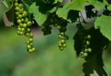 Jak udowodnić niedojrzałość emocjonalna? Jak udowodnić niedojrzałość emocjonalna?