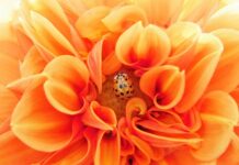 Na jakich fundamentach powinna opierać się efektywną komunikacja w organizacji?