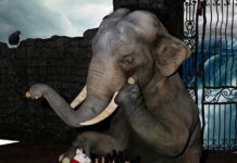 Jak skupić się tylko na sobie?