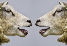 Co utrudnia nam komunikowanie się? Co utrudnia nam komunikowanie się?