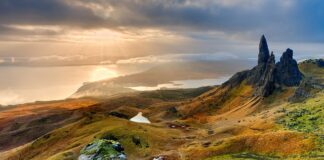 W jakim wieku mózg zaczyna się starzeć?