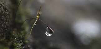 Dlaczego mam problem ze skupieniem się?