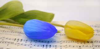 Czy na Ukrainie jest matura?