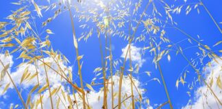 Jak przestać przeglądać Internet?