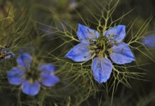 Ile w Polsce jest zielonej energii?