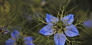 Ile w Polsce jest zielonej energii?