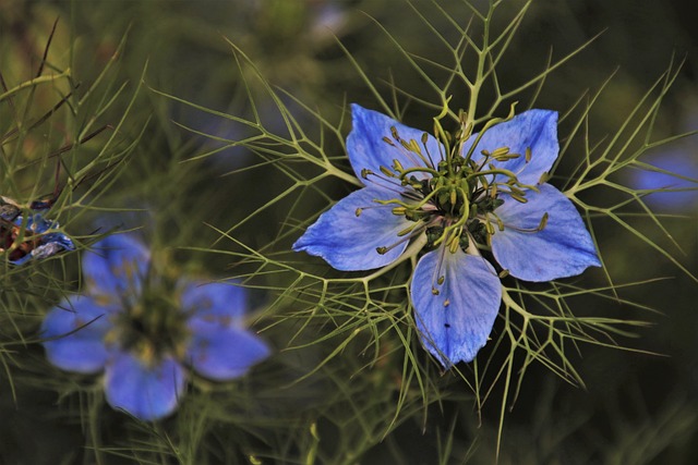 Ile w Polsce jest zielonej energii? Ile w Polsce jest zielonej energii?