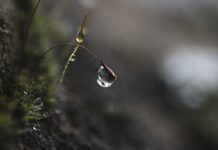 Co pić na skupienie? Co pić na skupienie?