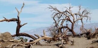 Co to jest źródło energii?