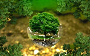 Jak być ekologicznym w szkole? Jak być ekologicznym w szkole?