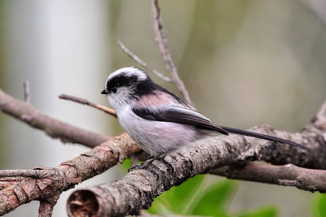 Jakie bariery utrudniają rozwój energetyki? Jakie bariery utrudniają rozwój energetyki?
