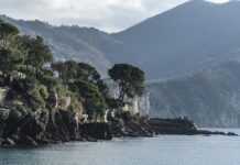 Ile kosztuje godzina jazdy z instruktorem?