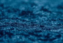 Co warto wprowadzić w życie? Co warto wprowadzić w życie?