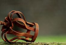 Jaki status musi mieć PKK żeby zapisać się na egzamin praktyczny?