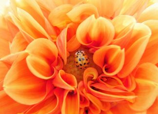 Co to jest efektywny? Co to jest efektywny?