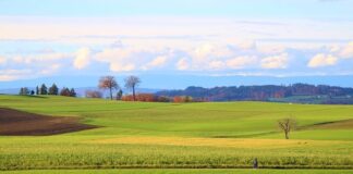 Ile to jest 5500 brutto?